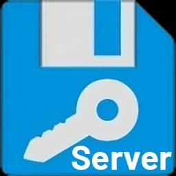 QILING Safe Disk Server 3.0.20250818