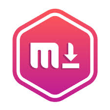 MP3Studio YouTube Downloader 2.0.29.1