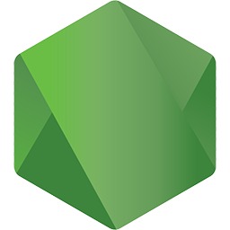 Node.js 25.2.1