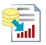 Reportizer 6.6.1.405