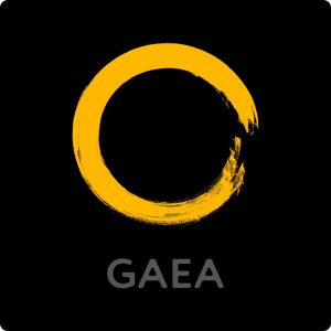 QuadSpinner Gaea 2.2.6 Enterprise